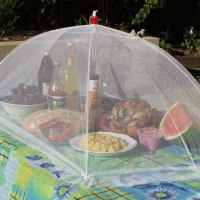 Oversized Picnic Food Umbrella