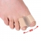 Double Toe Protector and Spreader