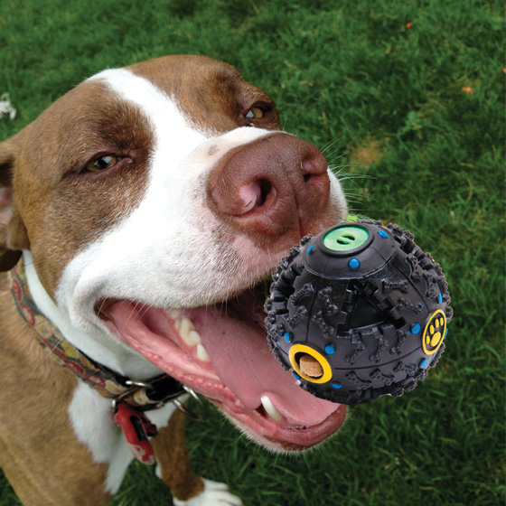 Giggle treat ball shop